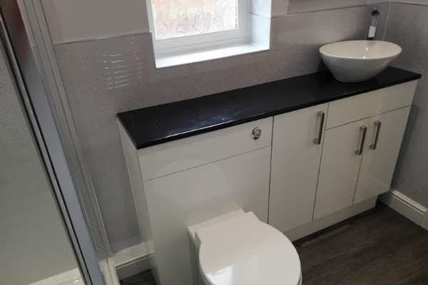 Vanity and WC unit